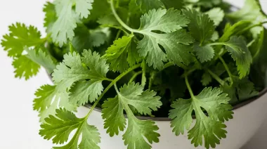 garnishing-instructions-image